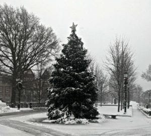 Snow job 12 17 2020 12 | Quincy News About Quincy Massachusetts | Quincy Ma | quincy news