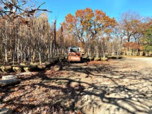 Trees at merrymount pageant nov 2022 3 | Quincy News About Quincy Massachusetts | Quincy Ma A city caught working from behind <br/>vv